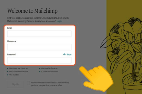 Hướng dẫn cài đặt Mailchimp