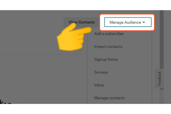 Cách sử dụng Mailchimp 