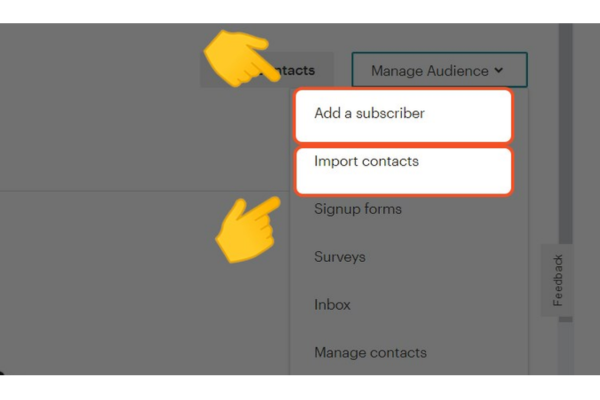 Cách sử dụng Mailchimp 