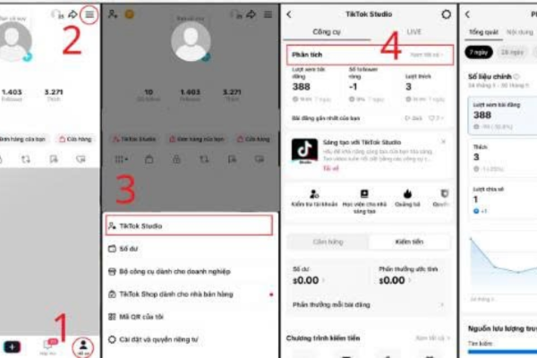 Hướng dẫn truy cập TikTok Analytics